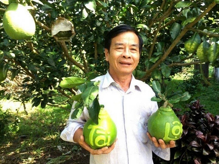 Bưởi hồ lô in chữ Tài Lộc