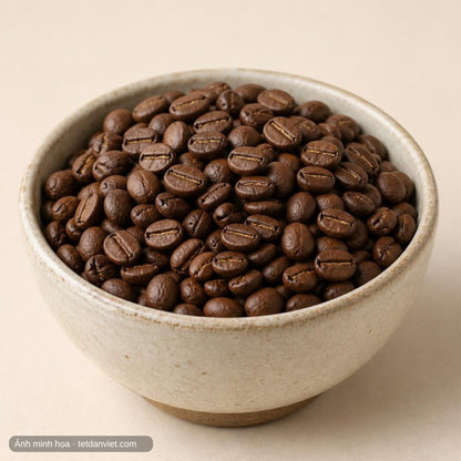 Cà phê Fine Robusta Gia Lai – hạt rang trong bát gốm, ảnh minh họa