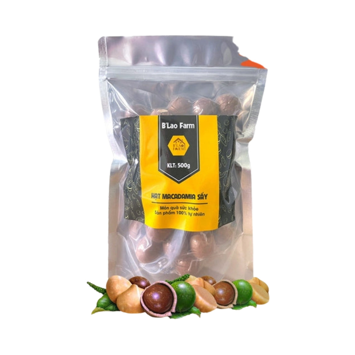 Hạt macca nứt vỏ Lâm Đồng B'Lao Farm túi 500g – ảnh sản phẩm nền trắng