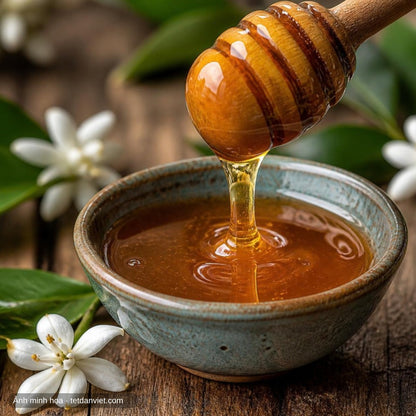 Cận cảnh mật ong hoa cà phê Gia Lai