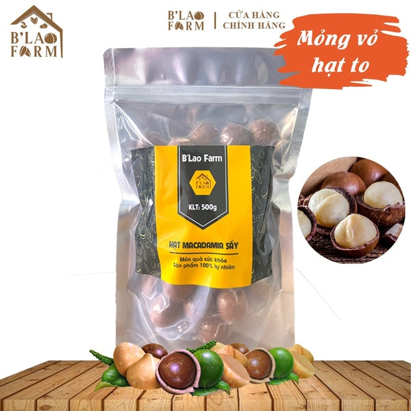 Hạt macca nứt vỏ Lâm Đồng B'Lao Farm túi 500g – ảnh 1