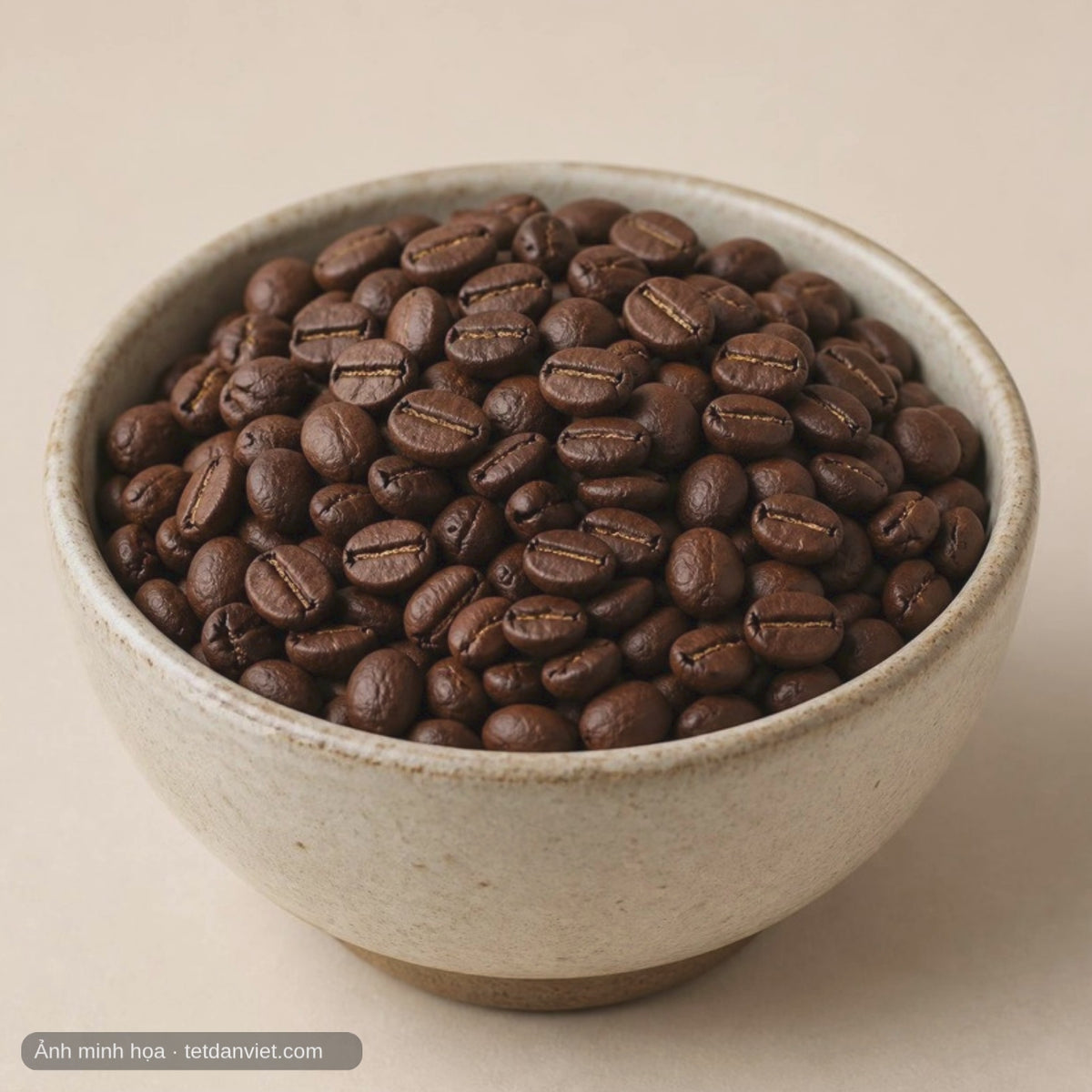 Video Cà phê Fine Robusta Gia Lai – Tết Dân Việt