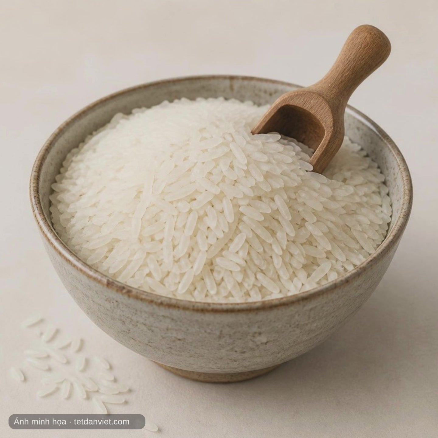 Video Gạo thơm ST25 Sóc Trăng – Tết Dân Việt